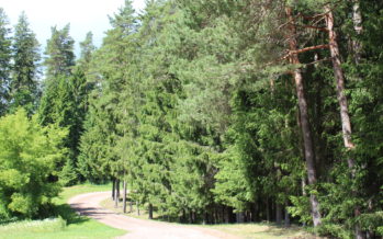 Helena-Reet: Semester (del 4) – vid Võrtsjärv, jag blir bränd på en kyrkogård och skogs gård Männiku i Intsu by