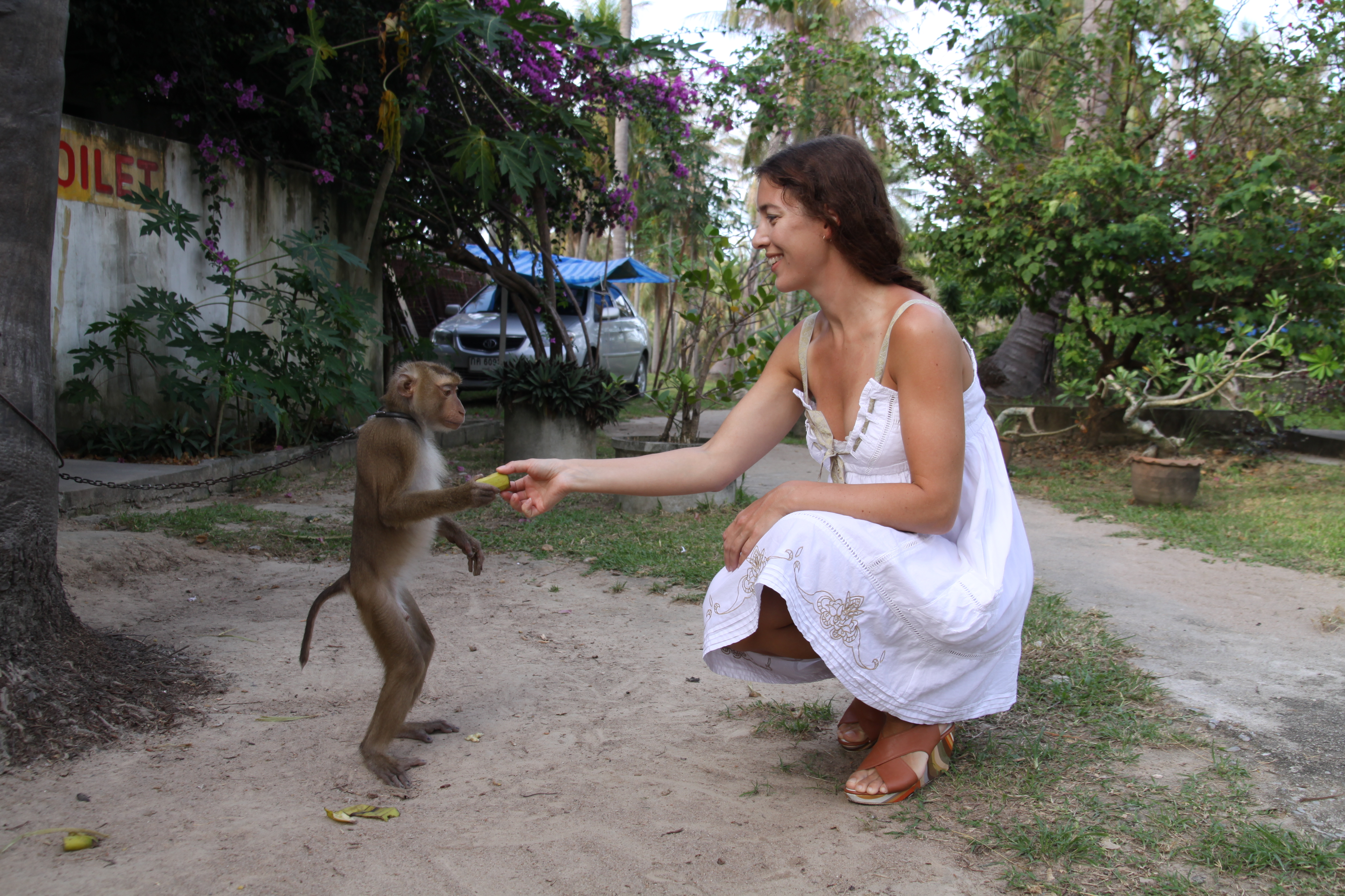 reseblogg Ohmygossip