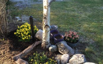 Helena-Reet: Mors dag + trädgårdssysslor i maj