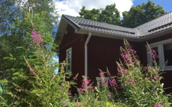 Helena-Reet: En överraskning från Allan, min favoritaktie just nu, ett mer energieffektivt hem och juli månad i trädgården!