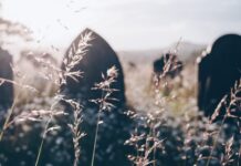 Kan vi kommunicera med de döda?