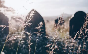 Kan vi kommunicera med de döda?