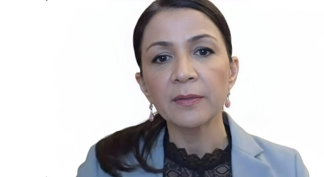 Gulan Avci Sverige: Gulan Avci vald till Liberalernas toppnamn i Stockholm