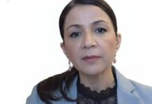 Sverige: Gulan Avci vald till Liberalernas toppnamn i Stockholm