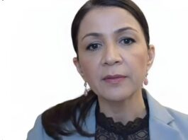 Sverige: Gulan Avci vald till Liberalernas toppnamn i Stockholm